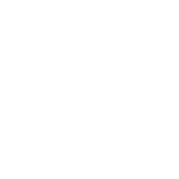 Project Argus